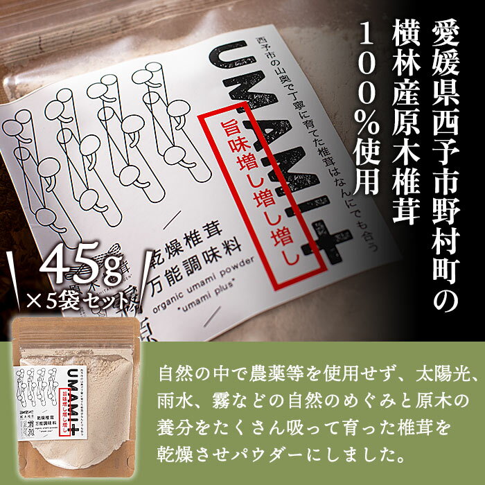 【ふるさと納税】＜何に入れてもうま味がグッと増す万能調味料 椎茸パウダー UMAMI＋（うまみぷらす）45g×5袋セット＞しいたけ シイタケ 愛媛県産 国産 粉末 お手軽 出汁 旨み 旨味 dried Shiitake 横林自治振興協議会 特産品 愛媛県 西予市【常温】『1か月以内に順次出荷』 サムネイル2