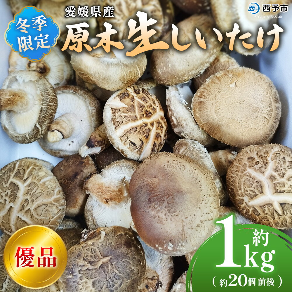 ＜冬季限定 原木生しいたけ 優品 約1kg＞ 20個前後 原木生椎茸 しいたけ シイタケ きのこ 優品 バーベキュー BBQ すき焼き しゃぶしゃぶ 料理 国産 愛媛県産 横林自治振興協議会 愛媛県 西予市【冷蔵】『2025年11月中旬～2026年3月上旬に順次出荷予定』