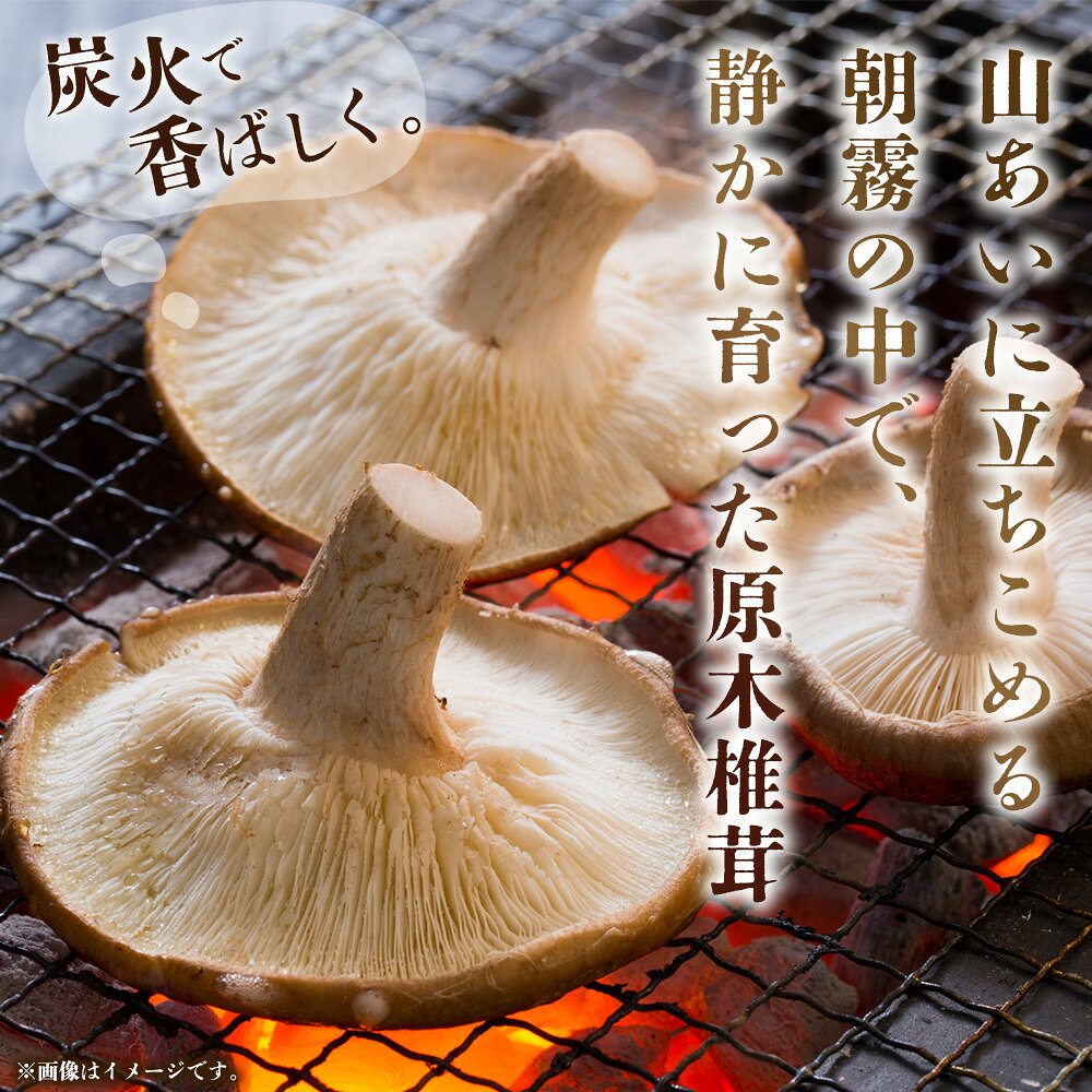 【ふるさと納税】＜冬季限定 原木生しいたけ 優品 約1kg＞ 20個前後 原木生椎茸 しいたけ シイタケ きのこ 優品 バーベキュー BBQ すき焼き しゃぶしゃぶ 料理 国産 愛媛県産 横林自治振興協議会 愛媛県 西予市【冷蔵】『2025年11月中旬～2026年3月上旬に順次出荷予定』 - 画像2