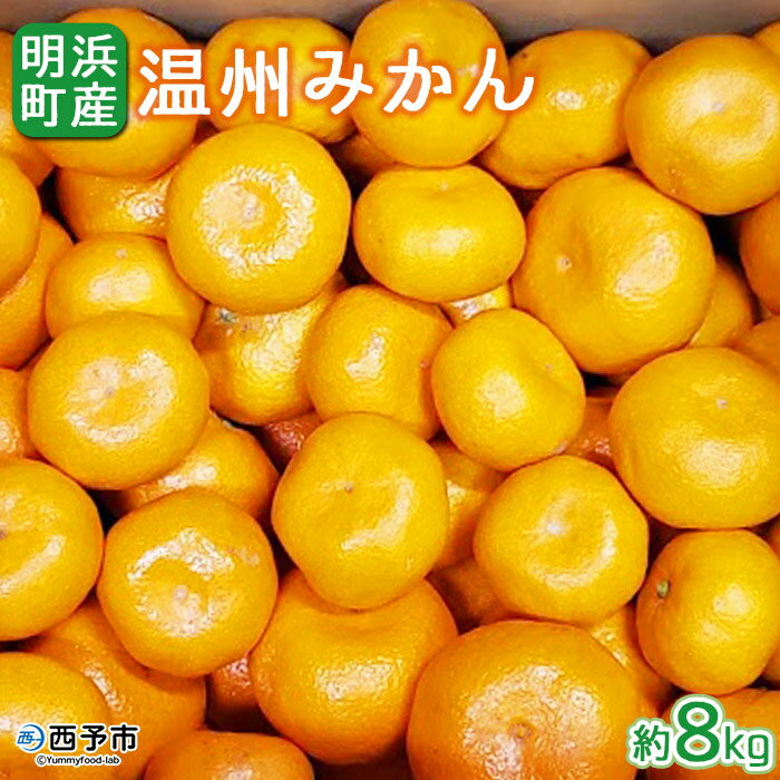 ＜産地直送！愛媛県明浜町産 温州みかん 約8kg＞ ミカン 蜜柑 柑橘類 フルーツ 果物 甘い おいしい おすそ分け ギフト 贈答 特産品 季節限定 期間限定 旬 宇都宮農園 愛媛県 西予市【常温】『2025年11月上旬～2026年1月中旬迄に順次出荷予定』