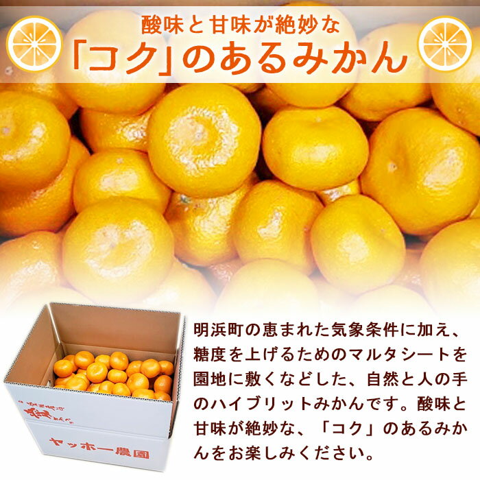【ふるさと納税】＜産地直送！愛媛県明浜町産 温州みかん 約8kg＞ ミカン 蜜柑 柑橘類 フルーツ 果物 甘い おいしい おすそ分け ギフト 贈答 特産品 季節限定 期間限定 旬 宇都宮農園 愛媛県 西予市【常温】『2025年11月上旬～2026年1月中旬迄に順次出荷予定』 サムネイル2