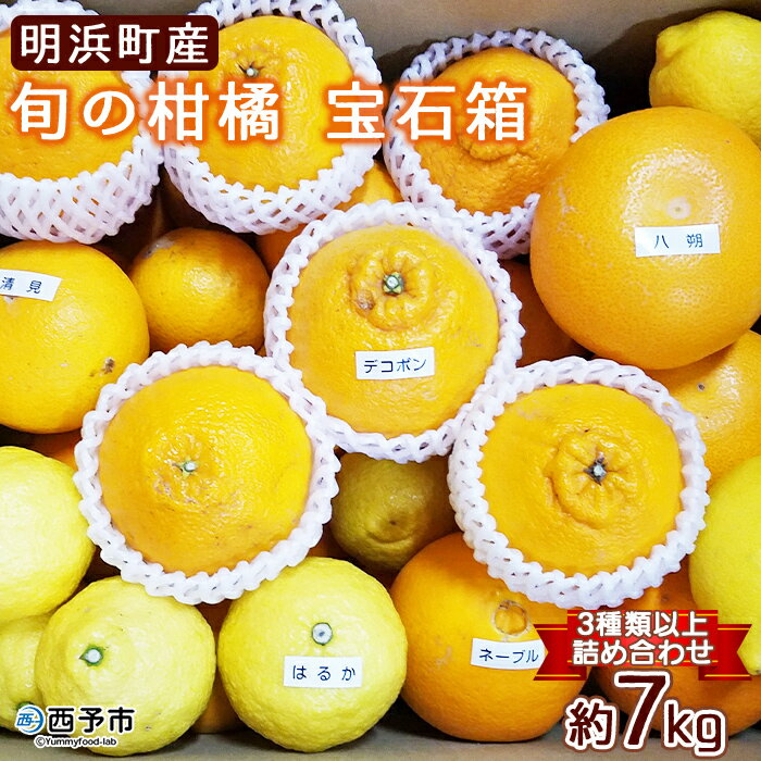 ＜愛媛県明浜産 旬の柑橘 宝石箱（3種類以上詰め合わせ）約7kg＞温州みかん ポンカン イヨカン はるか 紅ハッサク ネーブル せとか 不知火 デコポン 清見 紅甘夏 ブラッドオレンジ 宇都宮農園 西予市【常温】『2026年2月上旬～4月上旬迄に順次出荷予定』