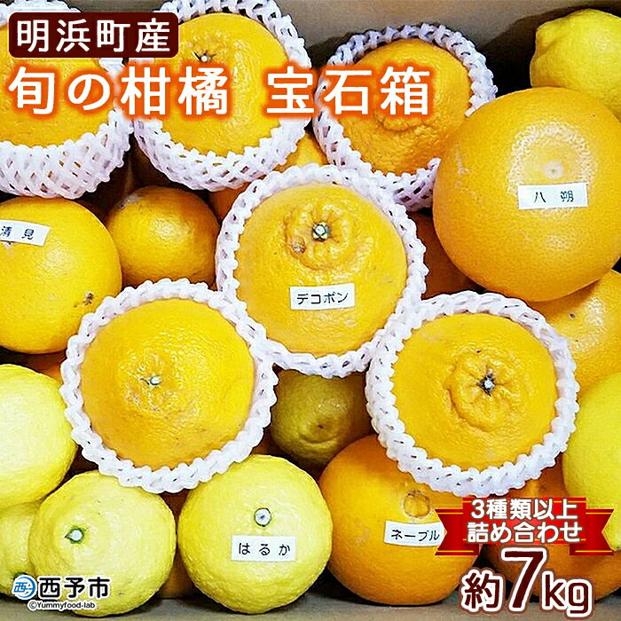 ＜愛媛県明浜産 旬の柑橘 宝石箱（3種類以上詰め合わせ）約7kg＞温州みかん ポンカン イヨカン はるか 紅ハッサク ネーブル せとか 不知火 デコポン 清見 紅甘夏 ブラッドオレンジ 宇都宮農園 西予市【常温】『2026年2月上旬～4月上旬迄に順次出荷予定』