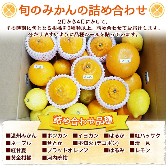 【ふるさと納税】＜愛媛県明浜産 旬の柑橘 宝石箱（3種類以上詰め合わせ）約7kg＞温州みかん ポンカン イヨカン はるか 紅ハッサク ネーブル せとか 不知火 デコポン 清見 紅甘夏 ブラッドオレンジ 宇都宮農園 西予市【常温】『2026年2月上旬～4月上旬迄に順次出荷予定』 サムネイル2