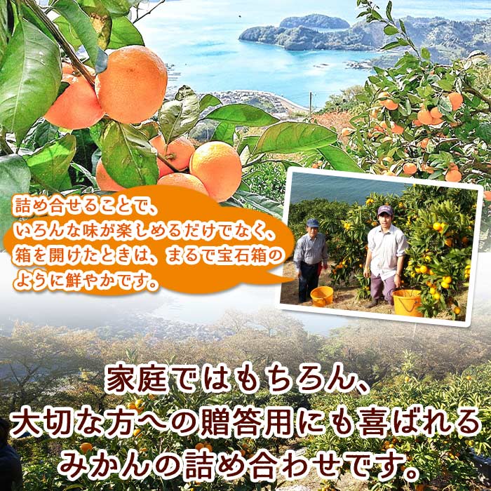 【ふるさと納税】＜愛媛県明浜産 旬の柑橘 宝石箱（3種類以上詰め合わせ）約7kg＞温州みかん ポンカン イヨカン はるか 紅ハッサク ネーブル せとか 不知火 デコポン 清見 紅甘夏 ブラッドオレンジ 宇都宮農園 西予市【常温】『2026年2月上旬～4月上旬迄に順次出荷予定』 サムネイル3