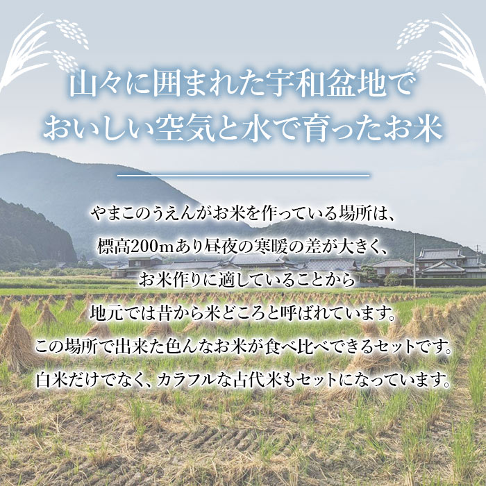 【ふるさと納税】＜古代米も入った！お米食べ比べセット＞令和7年産 お米 コメ ご飯 穀物 こしひかり コシヒカリ にじのきらめき 古代米 黒米 赤米 4種 詰め合わせ 食べ比べ 計5.3kg 特産品 やまこのうえん 愛媛県 西予市【常温】『2025年9月上旬より順次出荷予定』 - 画像2