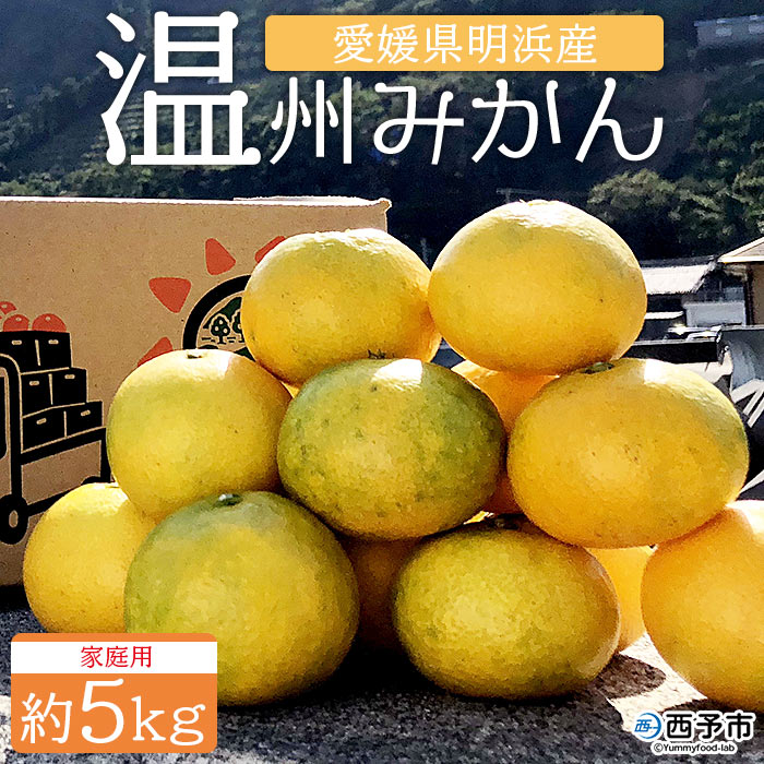 ＜安樹屋 愛媛県明浜産 温州みかん（早生） 約5kg 家庭用＞ 柑橘類 みかん ミカン 果物 フルーツ 安樹屋 愛媛県 西予市 【常温】『2025年11月中旬～11月末迄に順次出荷予定』