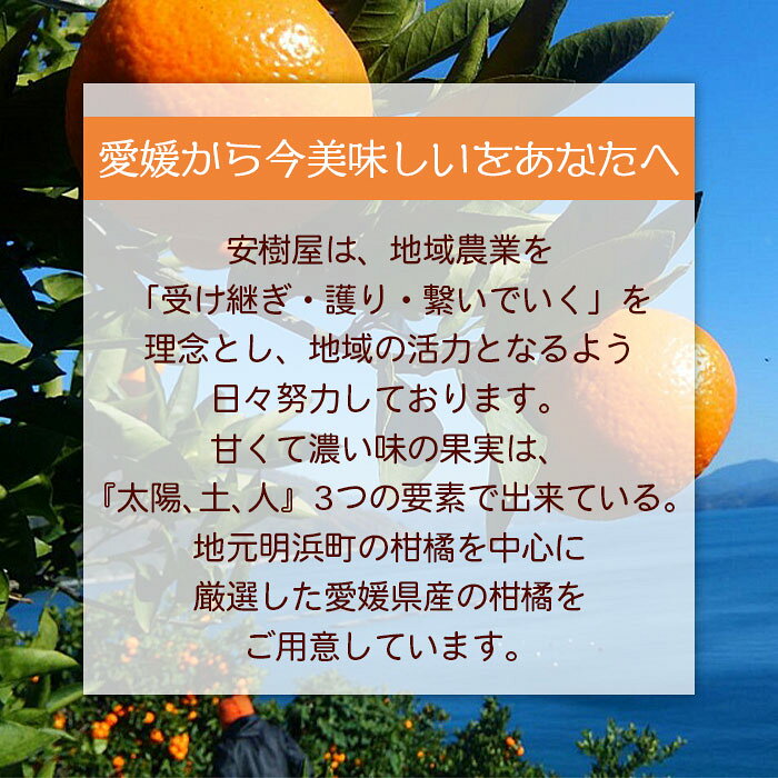 【ふるさと納税】＜安樹屋 愛媛県明浜産 温州みかん（早生） 約5kg 家庭用＞ 柑橘類 みかん ミカン 果物 フルーツ 安樹屋 愛媛県 西予市 【常温】『2025年11月中旬～11月末迄に順次出荷予定』 サムネイル3