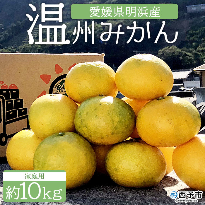 ＜安樹屋 愛媛県明浜産 温州みかん（早生） 約10kg 家庭用＞ 柑橘類 みかん ミカン 蜜柑 果物 くだもの フルーツ 安樹屋 愛媛県 西予市 【常温】『2025年11月中旬～11月末迄に順次出荷予定』