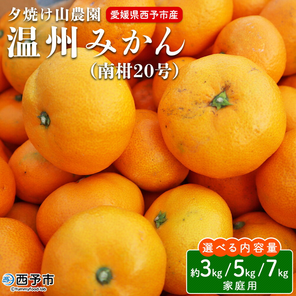 先行予約 ＜夕焼け山農園 愛媛県西予市産 温州みかん 家庭用 約3kg／5kg／7kg（南柑20号）＞果物 フルーツ ミカン 蜜柑 柑橘 なんかん 訳あり うんしゅうみかん ウンシュウ 特産品 愛媛県 西予市 【常温】『2025年12月上旬～12月下旬迄に順次出荷予定』