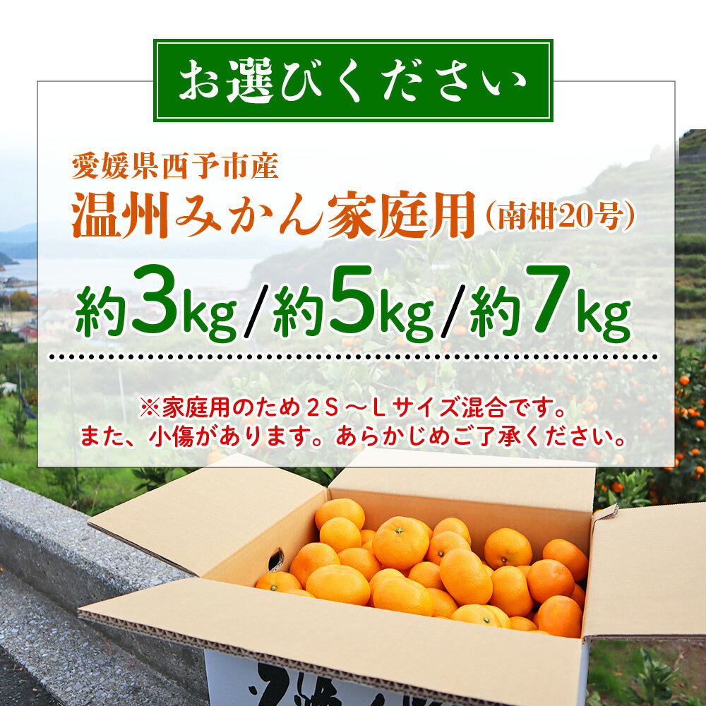 【ふるさと納税】先行予約 ＜夕焼け山農園 愛媛県西予市産 温州みかん 家庭用 約3kg／5kg／7kg（南柑20号）＞果物 フルーツ ミカン 蜜柑 柑橘 なんかん 訳あり うんしゅうみかん ウンシュウ 特産品 愛媛県 西予市 【常温】『2025年12月上旬～12月下旬迄に順次出荷予定』 サムネイル3