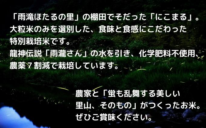 【ふるさと納税】〈坂本自然農場 穂田琉〉 特別栽培米:にこまる 精米2kg ご飯 お弁当 おにぎり 冷めても美味しい 愛媛県産 ギフト プレゼント - 画像3