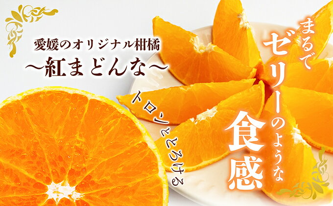 【ふるさと納税】数量限定 紅まどんな 青秀3L～L（10玉～15玉） 果物類 柑橘類 フルーツ みかん 柔らかい 甘い 美味しい ゼリー プレミアム 柑橘 　お届け：2025年12月上旬から順次 サムネイル3