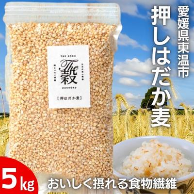 押しはだか麦5kgセット もち麦 お徳用 愛媛 食物繊維 5袋