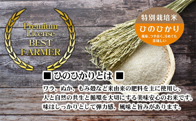 【ふるさと納税】〈坂本自然農場 穂田琉〉 JINEN:ひのひかり 精米5kg お米 白米 ライス ご飯 ブランド米 銘柄米 お弁当 おにぎり 産地直送 主食 炭水化物 朝食 昼食 夕飯 和食 弾力 風味 旨み - 画像3