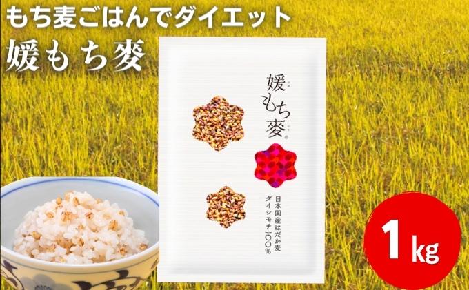 【ふるさと納税】媛もち麥1kg／もち麦 麦ごはん 雑穀 食物繊維豊富 食物繊維 もちもち プリプリ 食感 食品 食べ物 ご飯 おにぎり お弁当 主食 毎日 炭水化物 国産 日本産 愛媛県産 東温市産 直送 産地直送 - 画像2