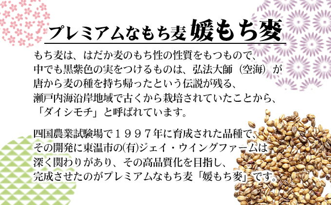 【ふるさと納税】媛もち麥1kg／もち麦 麦ごはん 雑穀 食物繊維豊富 食物繊維 もちもち プリプリ 食感 食品 食べ物 ご飯 おにぎり お弁当 主食 毎日 炭水化物 国産 日本産 愛媛県産 東温市産 直送 産地直送 - 画像3