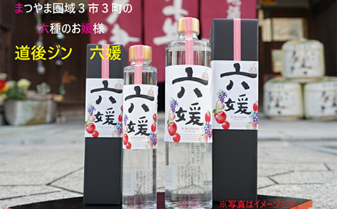 【ふるさと納税】水口酒造 道後ジン「六媛」500ml　クラフトジン スピリッツ 愛媛 お酒 晩酌 家飲み 宅飲み 愛媛県産素材 ボタニカル フレッシュ 華やかな香り 香ばしい香り キレ のかな甘み サムネイル2