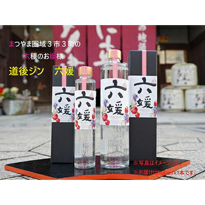 水口酒造 道後ジン「六媛」500ml　クラフトジン スピリッツ 愛媛 お酒 晩酌 家飲み 宅飲み 愛媛県産素材 ボタニカル フレッシュ 華やかな香り 香ばしい香り キレ のかな甘み