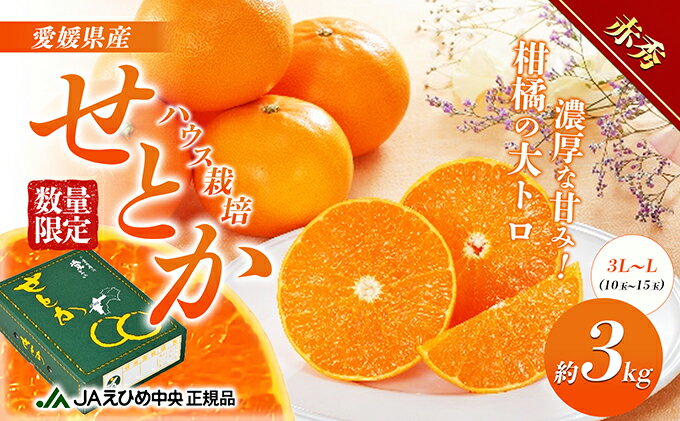 【ふるさと納税】せとか ハウス栽培　赤秀　約3kg 果物類 みかん 柑橘 フルーツ 食後 デザート ジューシー 甘い コク 香り 国産 愛媛県産 愛媛県産せとか 　お届け：2026年1月中旬～2月下旬 サムネイル2