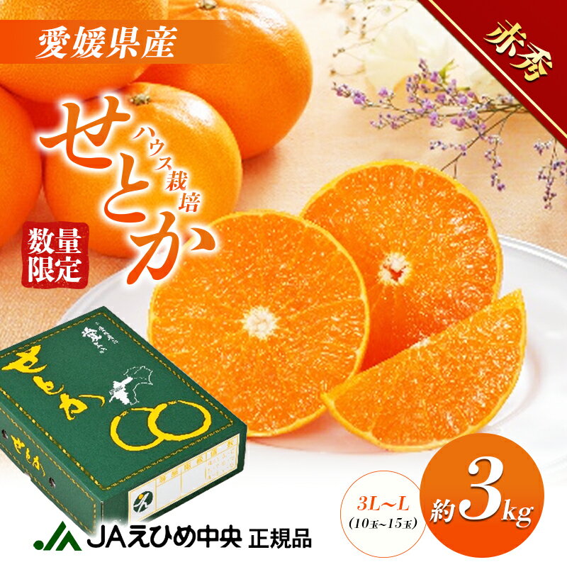 せとか ハウス栽培　赤秀　約3kg 果物類 みかん 柑橘 フルーツ 食後 デザート ジューシー 甘い コク 香り 国産 愛媛県産 愛媛県産せとか 　お届け：2026年1月中旬～2月下旬