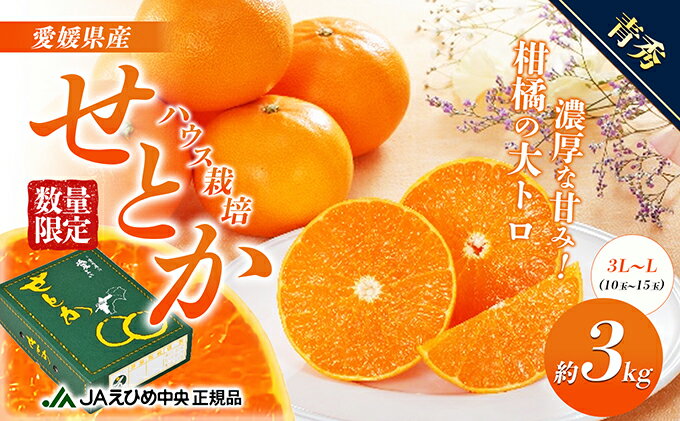 【ふるさと納税】せとか ハウス栽培　青秀　約3kg 果物類 みかん 柑橘 フルーツ 食後 デザート ジューシー 甘い コク 香り 国産 愛媛県産 愛媛県産せとか 　お届け：2026年1月中旬～2月下旬 サムネイル2