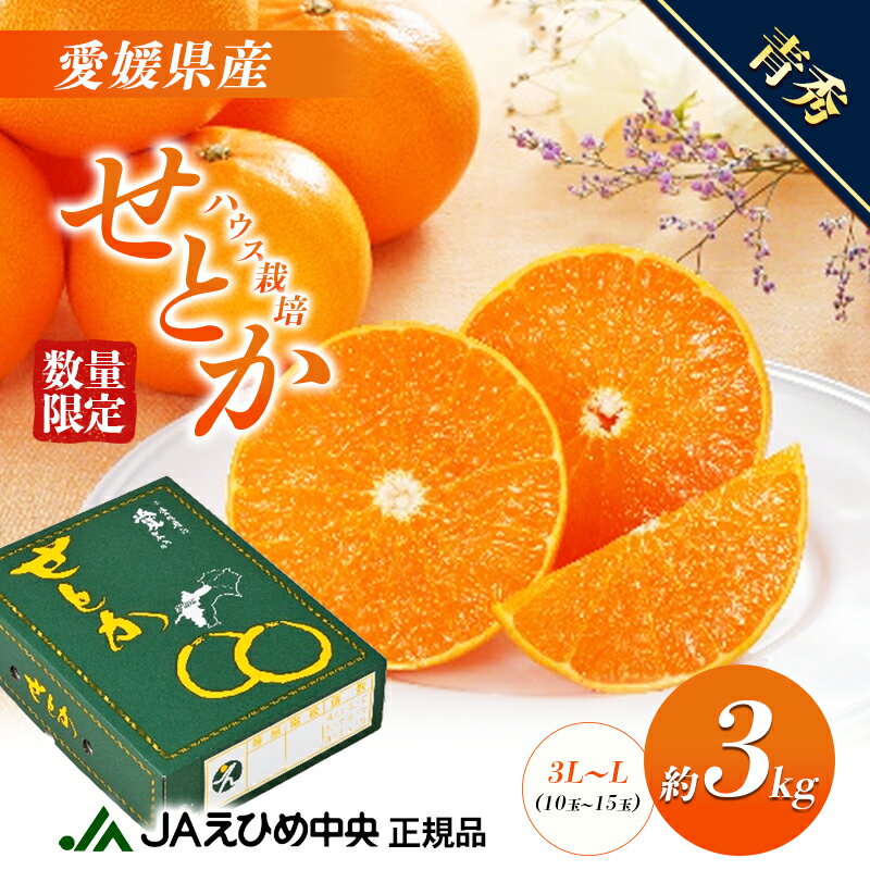 せとか ハウス栽培　青秀　約3kg 果物類 みかん 柑橘 フルーツ 食後 デザート ジューシー 甘い コク 香り 国産 愛媛県産 愛媛県産せとか 　お届け：2026年1月中旬～2月下旬