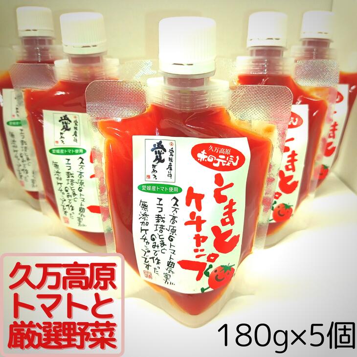 赤の元気「トマトケチャップ」5個セット 無添加◆ ｜ 完熟トマト 詰め合わせ 個包装 トマト ケチャップ 保存料不使用 料理 調味料 濃い 多用途 おすすめ 人気 万能調味料 ベジタブル 濃厚 野菜 ソース パスタ 無添加 愛媛 久万高原町 赤の元気