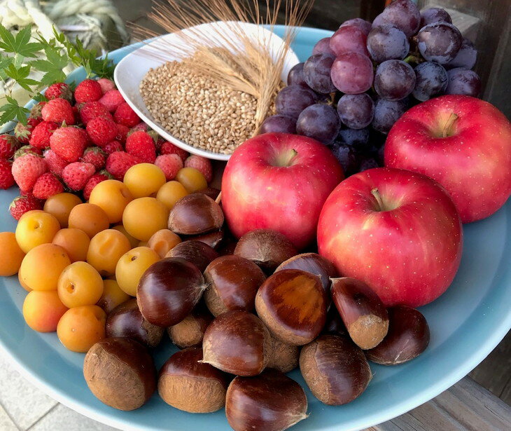 【ふるさと納税】水口酒造 道後ジン「六媛」200ml サムネイル3