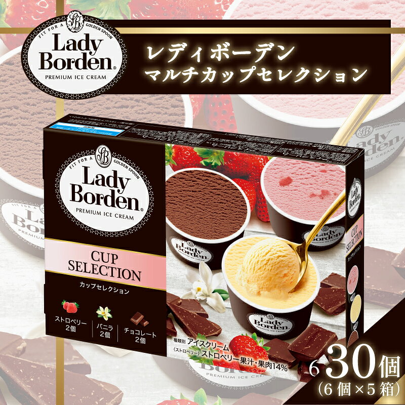 ロッテ レディーボーデン アイス アソート セット 詰め合わせ 5箱 各2個入 バニラ チョコレート ストロベリー 3種 フレーバー 大容量 ギフト スイーツ 洋菓子 デザート 冷凍 送料無料 愛媛県 松前町