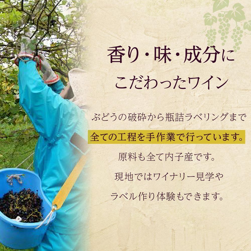 【ふるさと納税】内子夢わいん 白ワイン（ピオーネ） 1本 | ワイン お酒 わいん 酒 愛媛 ワイン 美味しい ワイン お酒 ワイン 大人気 ワイン 愛媛 送料無料 サムネイル3