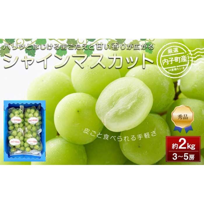 内子町産 シャインマスカット 青秀以上 3～5房 約2kg ＜2026年8月下旬～発送開始＞ | ブドウ 愛媛県産 新鮮 シャインマスカット 旬 フルーツ 果物 くだもの 食品 人気 おすすめ 送料無料