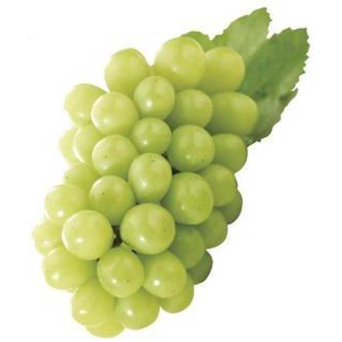 【ふるさと納税】内子町産 シャインマスカット 青秀以上 3～5房 約2kg ＜2026年8月下旬～発送開始＞ | ブドウ 愛媛県産 新鮮 シャインマスカット 旬 フルーツ 果物 くだもの 食品 人気 おすすめ 送料無料 サムネイル2