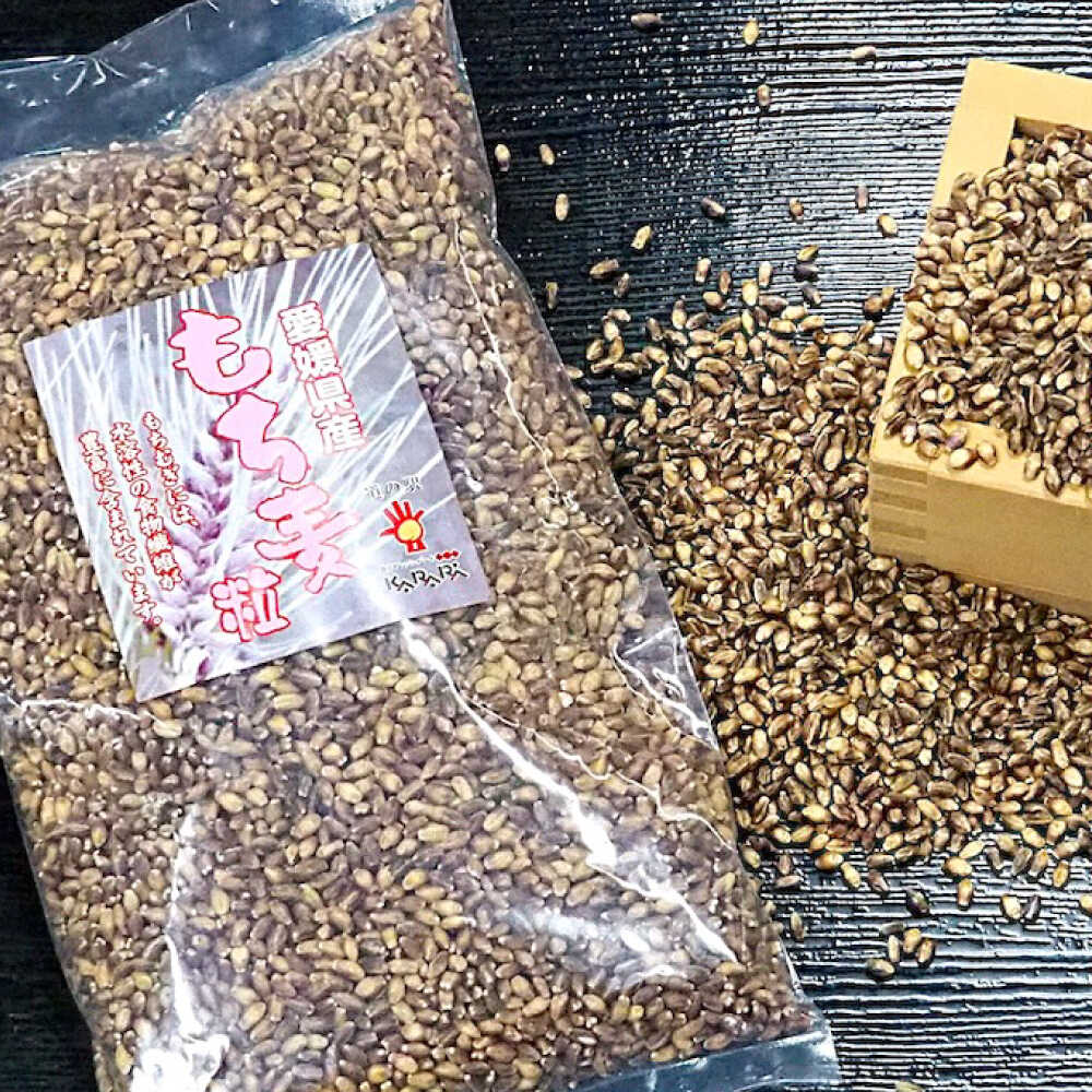 【ふるさと納税】内子町産もち麦3kg ／ 国産 雑穀米 もち麦 ごはん おすすめ 送料無料 米 【株式会社内子フレッシュパークからり】[BKAD010] - 画像3