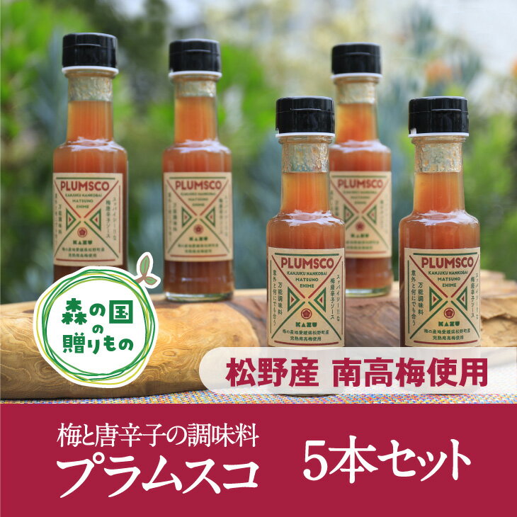 【松野町産 南高梅果肉入り】梅と唐辛子の調味料「プラムスコ」（100ml）×5本◇