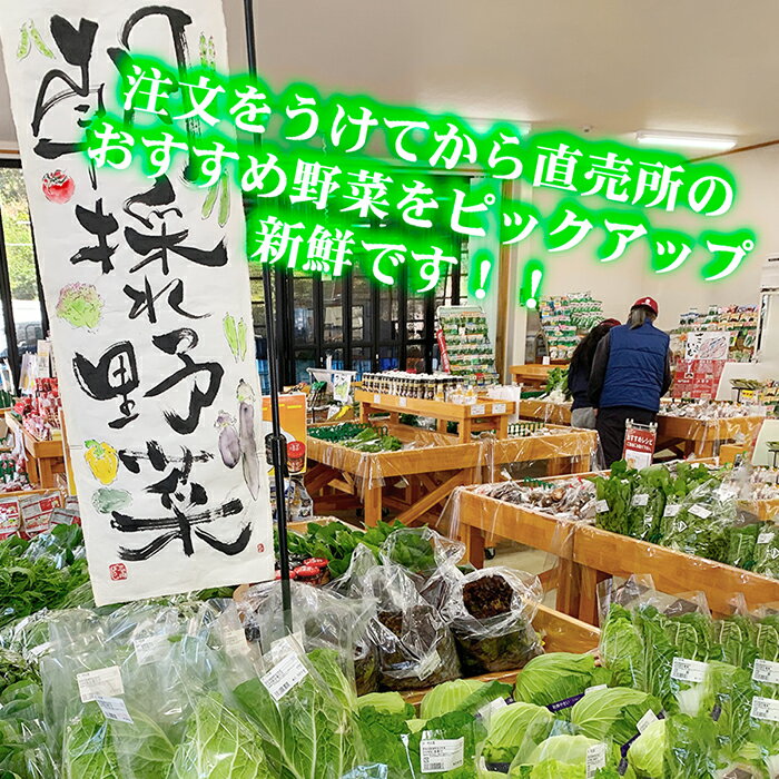 【ふるさと納税】鬼北の大地が育んだ新鮮野菜！季節の新鮮野菜詰め合わせ　＜野菜 やさい 詰め合わせ 新鮮 旬 季節 愛媛県 鬼北町＞ - 画像2