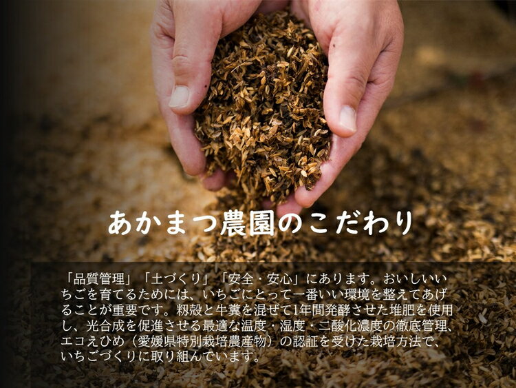 【ふるさと納税】【2026年春収穫分】【先行受付】【食べ比べ】 いちご8パック ｜ レッドパール 紅い雫 紅ほっぺ かおり野 イチゴ 苺 フルーツ あかまつ農園 ※2026年2月中旬～3月中旬頃に順次発送予定 サムネイル3