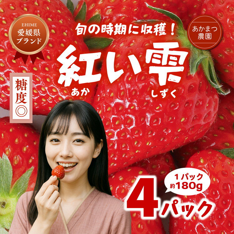 【2026年春収穫分】【先行予約】紅い雫 4パック（約720g） | いちご イチゴ 苺 大福 ジャム タルト アイス ケーキ ギフト あかまつ農園 ※離島への配送不可 ※2026年2月中旬頃より順次発送予定