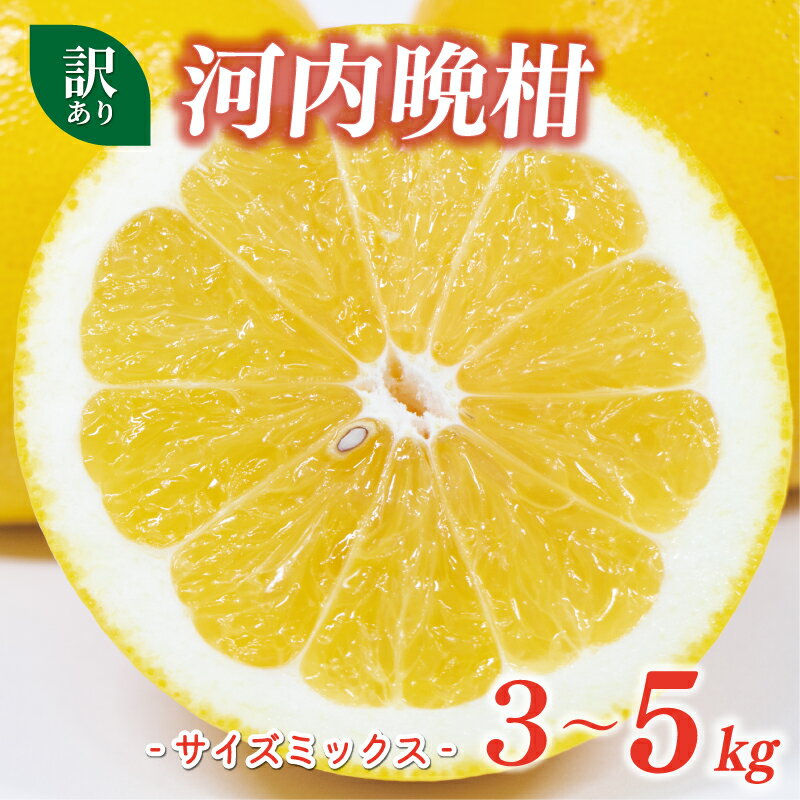 【高評価★4.86】 選べる容量 訳あり 河内晩柑 3kg 5kg 5000円 7000円 サイズミックス みかん かわちばんかん ミカン mikan わけあり 愛南ゴールド あいなん ゴールド 国産 期間限定 数量限定 小玉 含む 柑橘 蜜柑 規格外 マルハラファーム 愛南町 愛媛県