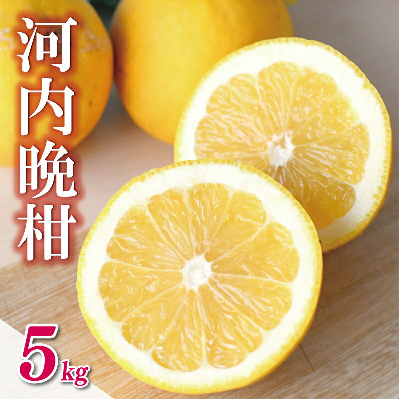 数量限定 先行予約 河内晩柑 5kg 7000円 みかん かわちばんかん ミカン mikan 愛南ゴールド あいなん ゴールド 文旦 派生 国産 期間限定 ギフト プレゼント 甘い おいしい フルーツ 果物 柑橘 蜜柑 アイス ゼリー ジュース 等に 岡平農園 愛南町 愛媛県