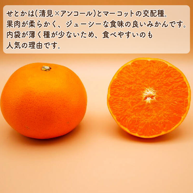 【ふるさと納税】 高評価 ★4.76 数量限定 先行予約 訳あり or 通常品 せとか 3kg みかん サイズミックス 14000円 18000円 高級 人気 ブランド プレミアム 柑橘 果物 フルーツ 期間限定 国産 わけあり mikan 蜜柑 ミカン 甘い おいしい 大トロ 吉田農園 愛南町 愛媛県 - 画像2