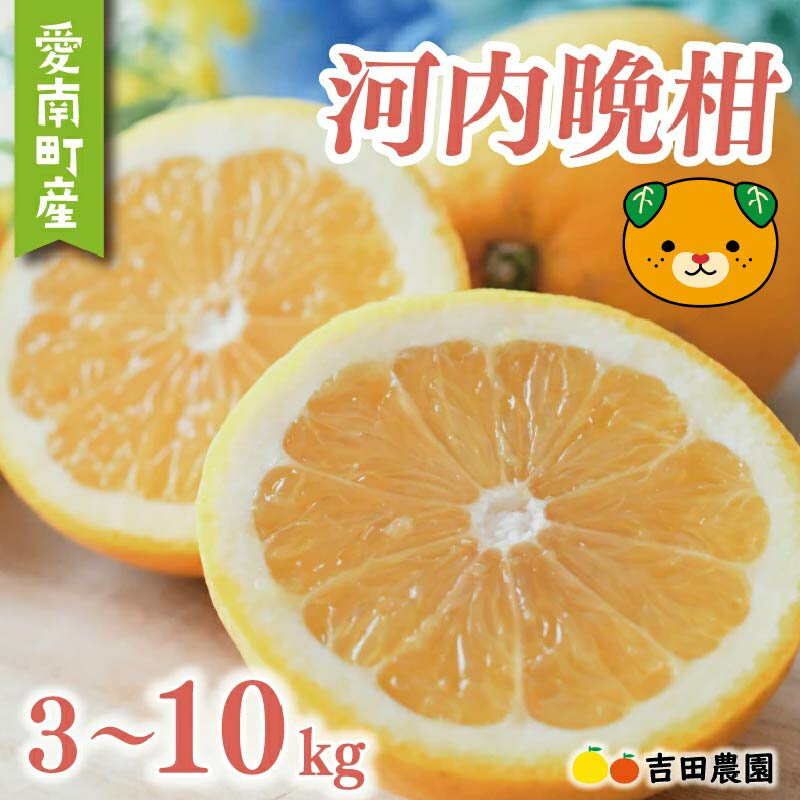 先行受付 数量限定 高評価 ★4.79 選べる容量 河内晩柑 3kg 5kg 10kg 訳あり 贈答用 期間限定 わけあり 愛媛 みかん mikan 蜜柑 ミカン 愛南ゴールド 国産 特産品 フルーツ ギフト プレゼント お中元 果物 柑橘 おいしい 甘い 吉田農園 愛南町 愛媛県