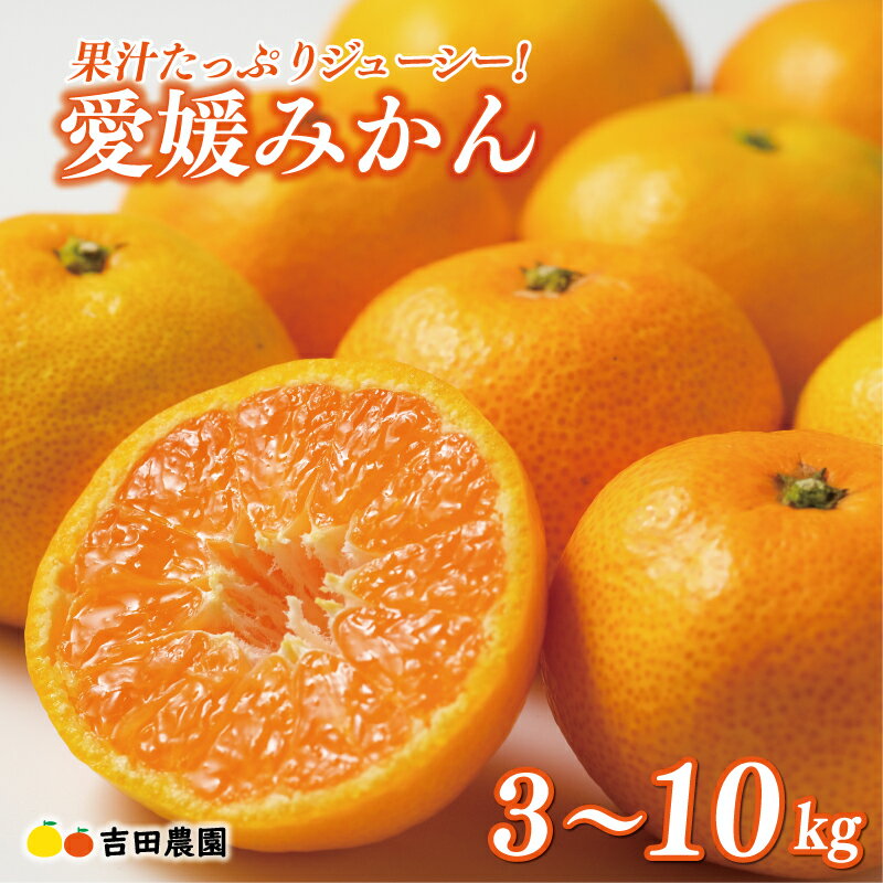 【高評価★4.6】 先行予約 選べる容量 愛媛みかん 3kg 5kg 10kg 訳あり 通常品 期間限定 愛媛 みかん 温州みかん mikan 蜜柑 ミカン 国産 期間限定 数量限定 特産品 フルーツ 果物 柑橘 おいしい 傷み補償 付き 吉田農園 愛南町 愛媛県