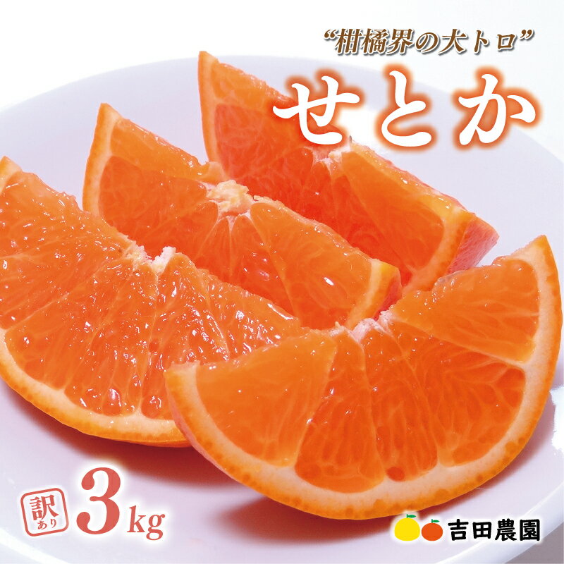 高評価 ★4.76 数量限定 先行予約 訳あり or 通常品 せとか 3kg みかん サイズミックス 14000円 18000円 高級 人気 ブランド プレミアム 柑橘 果物 フルーツ 期間限定 国産 わけあり mikan 蜜柑 ミカン 甘い おいしい 大トロ 吉田農園 愛南町 愛媛県