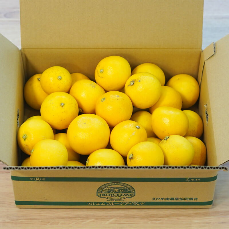 【ふるさと納税】 先行予約 数量限定 訳あり 小玉 美生柑 約7kg 小粒 河内晩柑 ばんかん 柑橘類 フルーツ 果物 くだもの 果実 夏文旦 晩生柑 みかん 蜜柑 高級 わけあり 傷 規格外 愛媛県 愛南町 サムネイル3