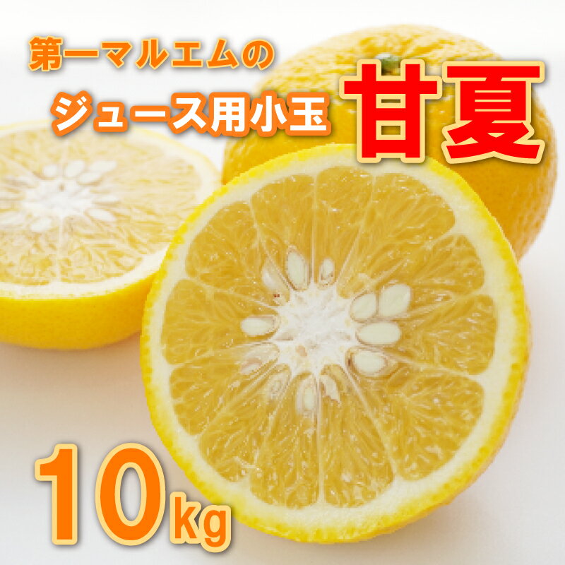 甘夏 小玉 10kg ジュース 用 7000円 みかん mikan 蜜柑 ミカン あまなつ 産地直送 国産 農家直送 期間限定 数量限定 特産品 ゼリー アイス 冷凍 みかん 等に 人気 甘い フルーツ 果物 柑橘 おいしい ジューシー ビタミン 健康 第一マルエム 愛南町 愛媛県
