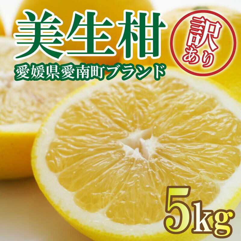 先行予約 訳あり 美生柑 みしょうかん 約 5kg 河内晩柑 不揃い サイズミックス 傷あり ばんかん フルーツ 果物 くだもの 文旦 晩生柑 厳選 愛媛 みかん 蜜柑 mikan 愛南 ご当地 ブランド 国産 産地 直送 フルーツアイランド マルエム直販 愛媛県 愛南町