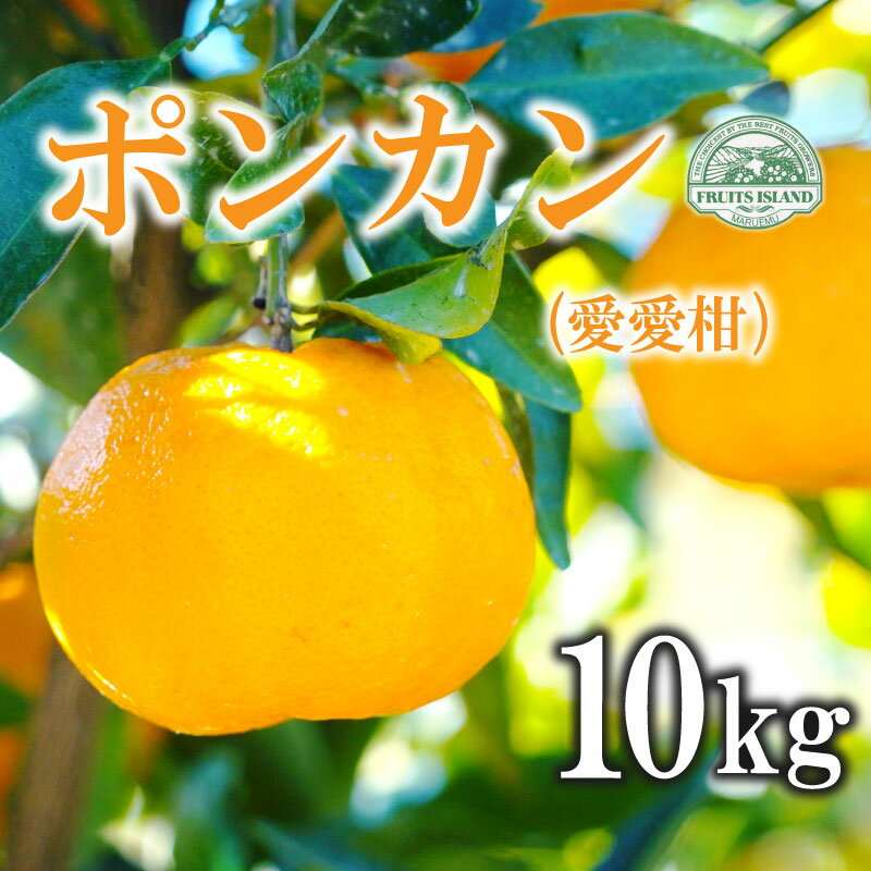 先行予約 ポンカン 約10kg 愛愛柑 20000円 ぽんかん みかん 蜜柑 果物 くだもの 果実 柑橘 ミカン mikan フルーツ ゼリー ジュース 甘い ジューシー デザート ブランド 特産品 国産 産直 産地直送 ビタミン 美容 健康 糖度 愛媛県 愛南町