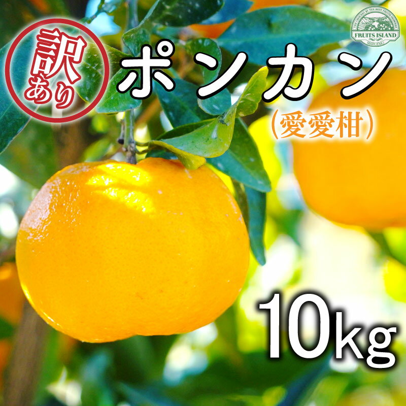 先行予約 訳あり ポンカン 約10kg 愛愛柑 15000円 わけあり ぽんかん みかん 蜜柑 果物 くだもの 果実 柑橘 ミカン mikan フルーツ ゼリー ジュース 甘い ジューシー デザート ブランド 特産品 国産 産直 産地直送 ビタミン 美容 健康 糖度 愛媛県 愛南町