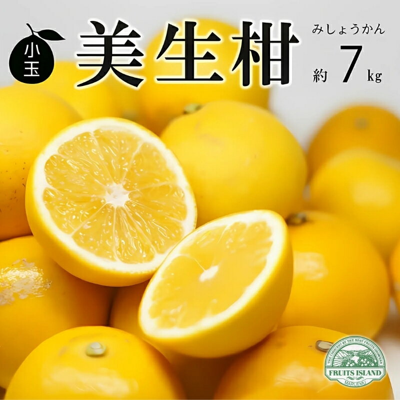 先行予約 数量限定 訳あり 小玉 美生柑 約7kg 小粒 河内晩柑 ばんかん 柑橘類 フルーツ 果物 くだもの 果実 夏文旦 晩生柑 みかん 蜜柑 高級 わけあり 傷 規格外 愛媛県 愛南町